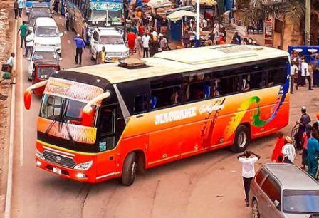 Machame Safari Bus